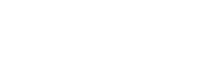 wsi white logo